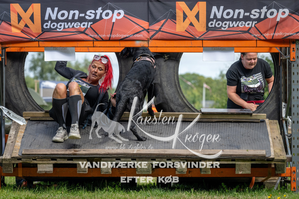 1137_ZZ92768 | kk-dogfotos