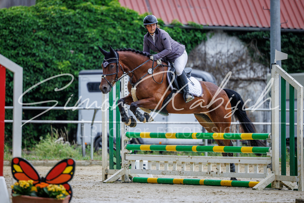 20260705-_3LI3537 | Tierfotografie Pferde, Hunde, Katzen, Haustiere.
Turnierfotografie Reitturniere, Reiten, Springreiten, Dressur in Hanau, dem Main-Kinzig-Kreis und dem Rhein-Main- Gebiet um Frankfurt