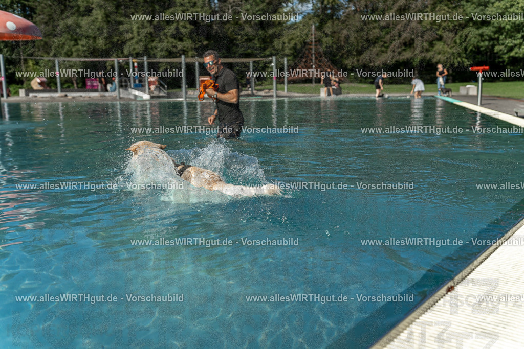 Hundeschwimmen_Volksbad_2026-allesWIRTHgut_Tierfotografie-2609061547-7R501897 | Professionelle Tierfotografie in Mönchengladbach von Daniel Wirth (allesWIRTHgut). Liebevolle & natürliche Bilder von Hunden & Katzen für unvergessliche Erinnerungen.