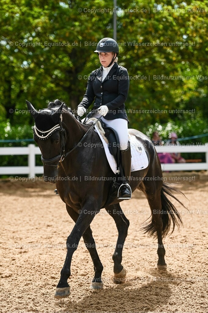 20230715_07_Dressurpferdeprfg. Kl.L_0150 | equistock