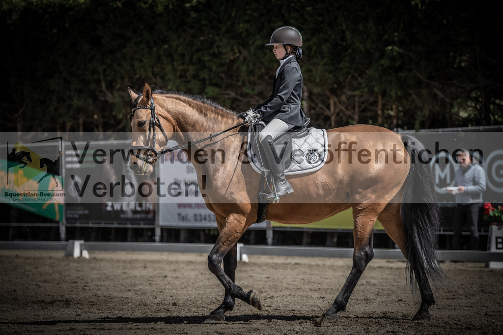 DSC_0914 | equestrian-live-com