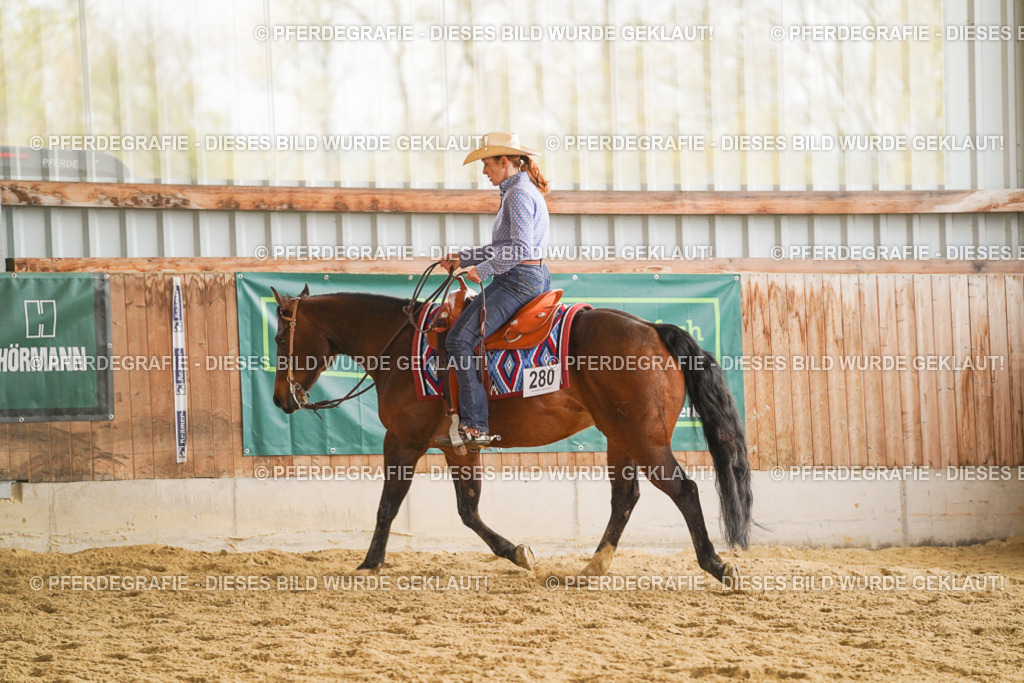 DSC08135 | Pferdegrafie