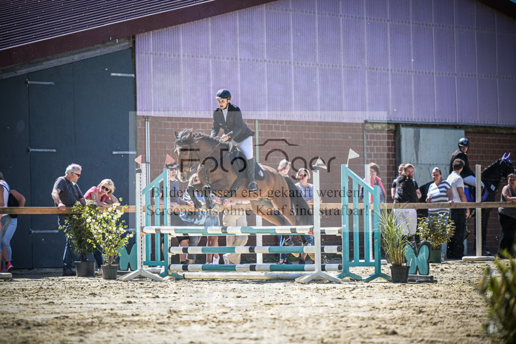 DOS_1339 | Entdecke hochwertige Reitturnierfotos von Foto Oger. Professionell, emotional und authentisch – jetzt Lieblingsmomente im Shop bestellen.Deutschlandweite Turnierfotografie. - Realisiert mit Pictrs.com