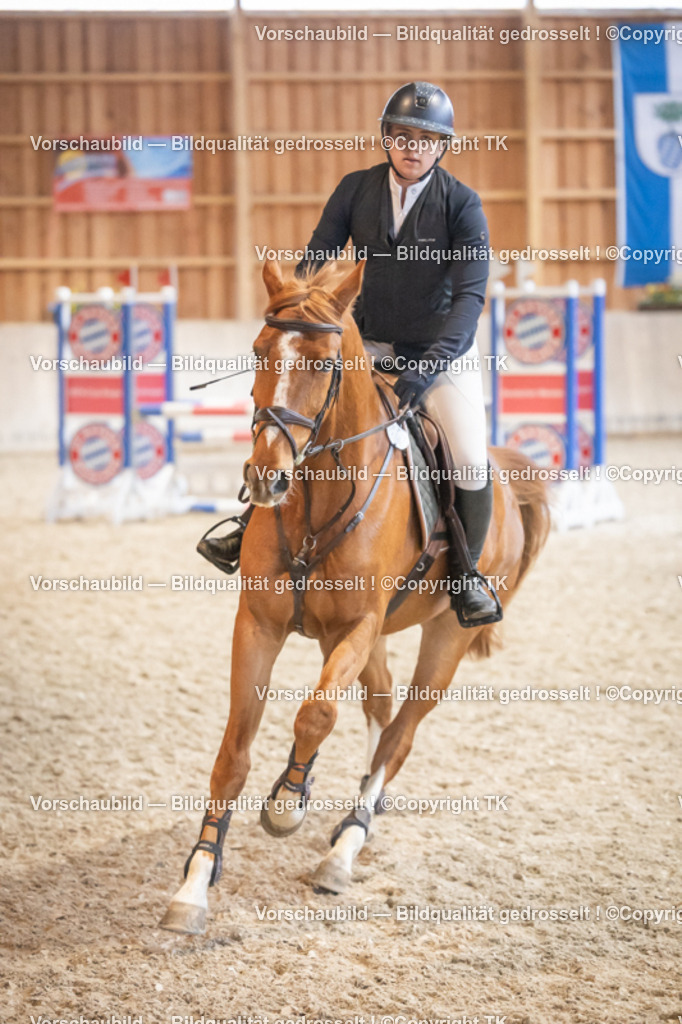 _D5A7869 | Emotionale Pferde- & People-Fotografie rund um Heidelberg, Leimen & Umgebung. Natürliche Fotos von Pferd, Mensch & Familie. Jetzt Termin sichern!