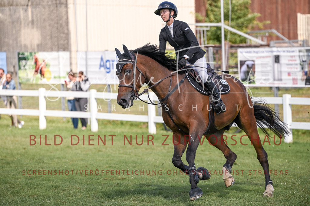 Schugtsche-Düren.2024-09.Springprf.L-198 | Schugtsche Fotografie - Realisiert mit Pictrs.com