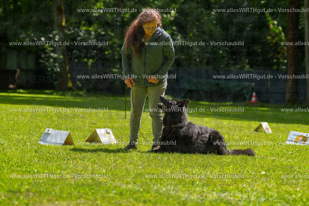 @allesWIRTHgut_Tierfotografie - www.allesWIRTHgut.de - 7R505698 | Professionelle Tierfotografie in Mönchengladbach von Daniel Wirth (allesWIRTHgut). Liebevolle & natürliche Bilder von Hunden & Katzen für unvergessliche Erinnerungen.