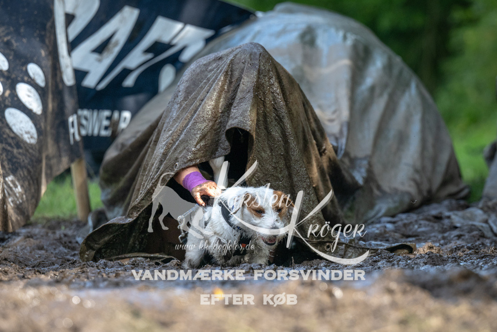 1605_ZZ92433 | kk-dogfotos