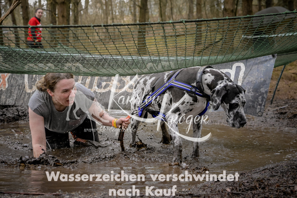 1009_ZZ99860 | kk-dogfotos