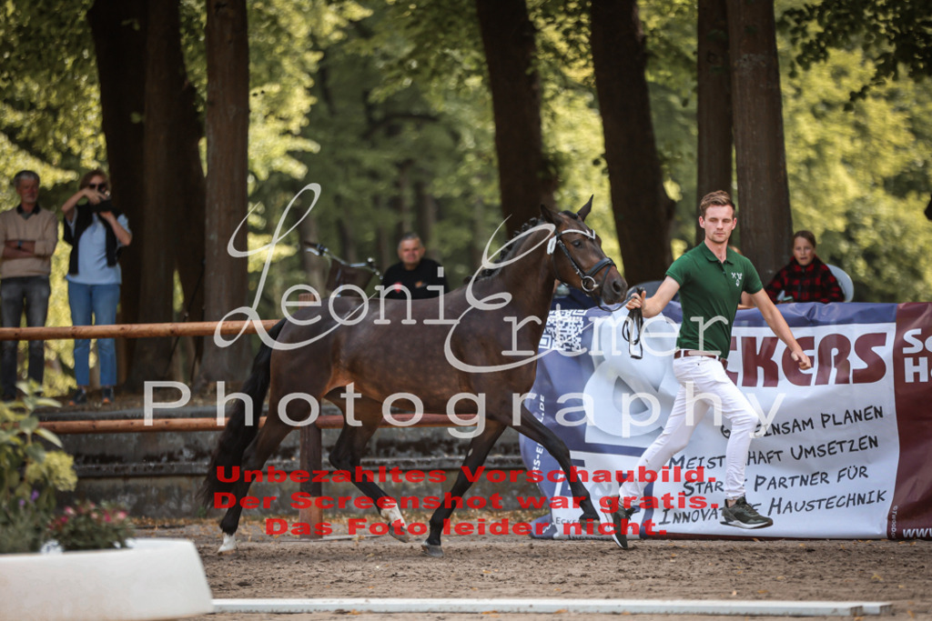 SoER00060 | Leoni Ertmer Photography - Realisiert mit Pictrs.com