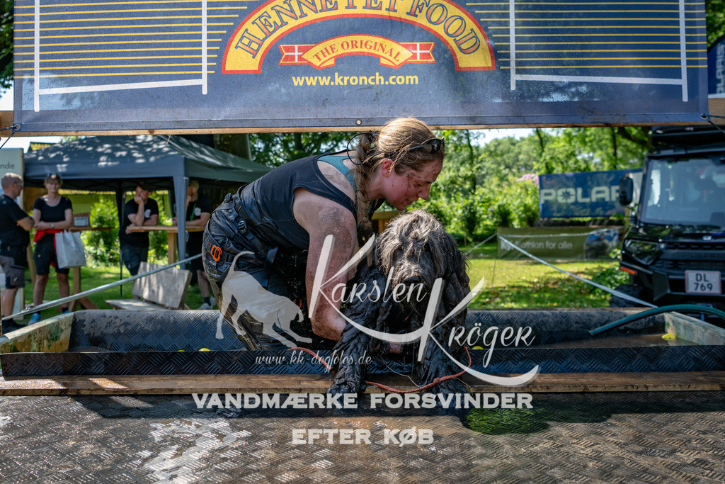1308_ZZ90726 | kk-dogfotos