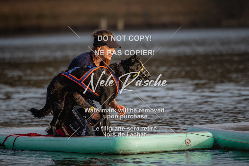 nelerasche_Hulsbeek_Sa1700-1730_303 | nelerasche