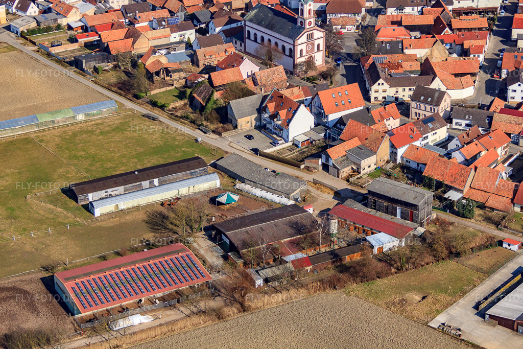 Luftbild: Landwirtschaftliche Gebäude am Oberdorf in Rheinzabern im Bundesland Rheinland-Pfalz in Deutschland. Foto: IMG_48919.jpg vom 09.03.2012 durch Werner Riehm/FLY-FOTO.de