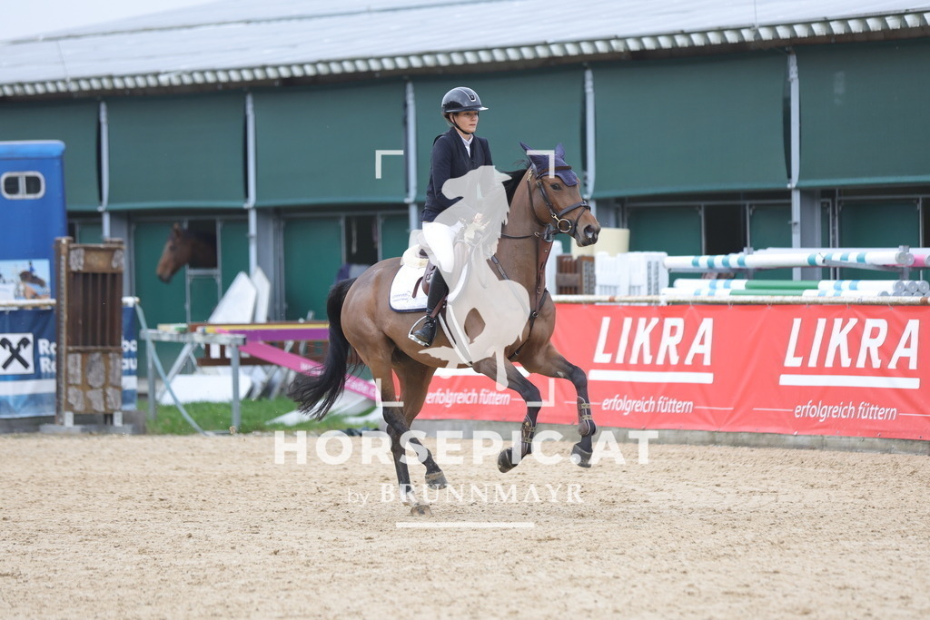 0P6A1800 | Willkommen bei Brunnmayr - Design & Fotografie – Ihrem Spezialisten für Reitturniere und Pferdeveranstaltungen in Oberösterreich, Salzburg und Bayern! Seit über 17 Jahren sind wir leidenschaftlich dabei.