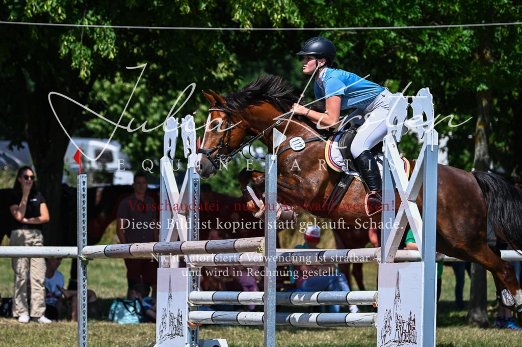 DSC_0940 | Pferde- und Turnierfotografie in Westsachsen. Pferdeportraits, Auftragszeichnungen und intuitive Kunst.