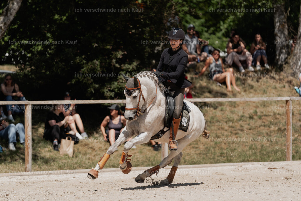 WE_SP_Stoib_336_PI2025_1711 | Pferd International München 2025