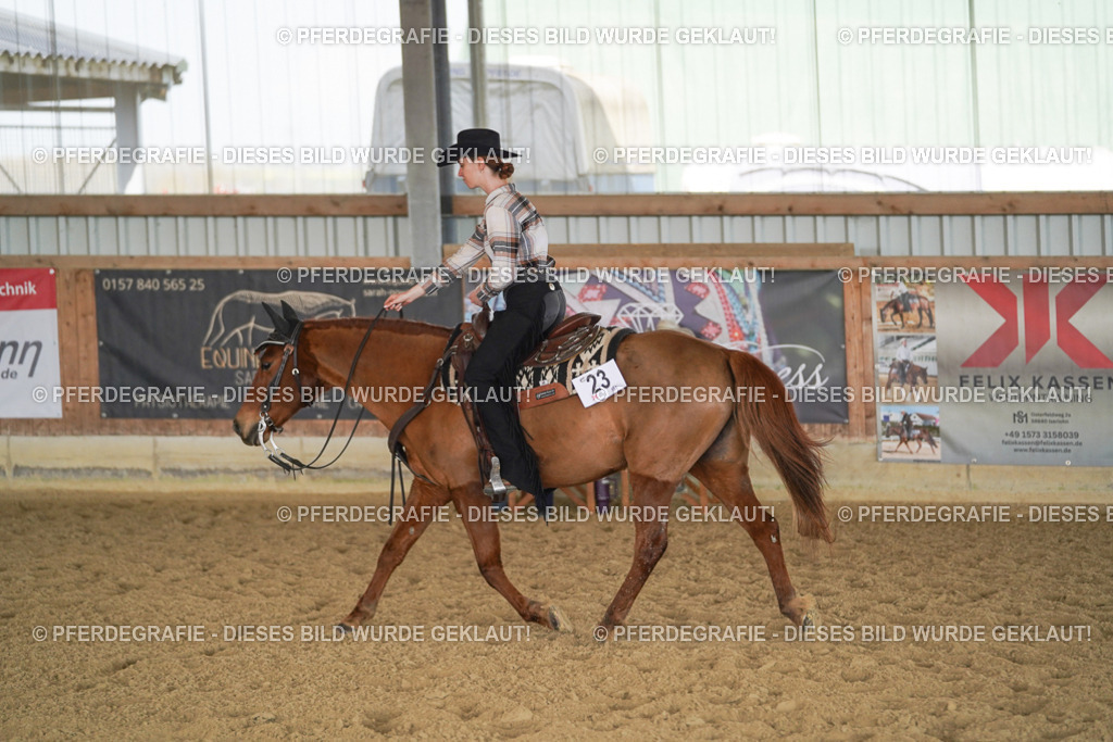 DSC00095 | Pferdegrafie