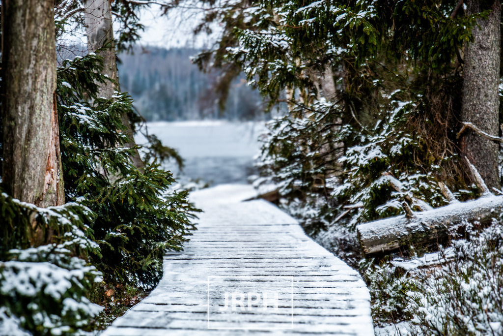 _MG_8550-Verbessert-RR | jrph - Realisiert mit Pictrs.com