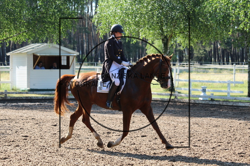 IMG_6308 | franziskalange - Realisiert mit Pictrs.com