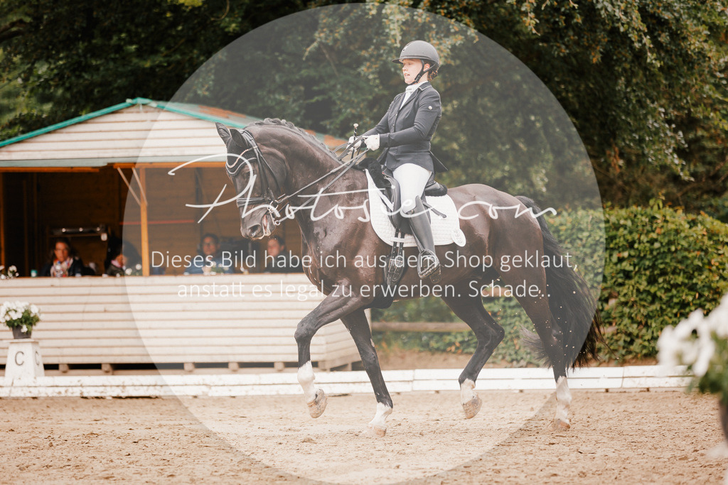 3I6A7708 | Stimmungsvolle Portraits und Reitsportfotografie im Ruhrgebiet und im Münsterland.

Pferdefotografie, Hundefotografie, Tierfotografie, Reportagen, Portraits von Tier und Mensch, Turnierfotografie in Bochum, Recklinghausen, Marl, Haltern am See, Dülmen.. - Realisiert mit Pictrs.com