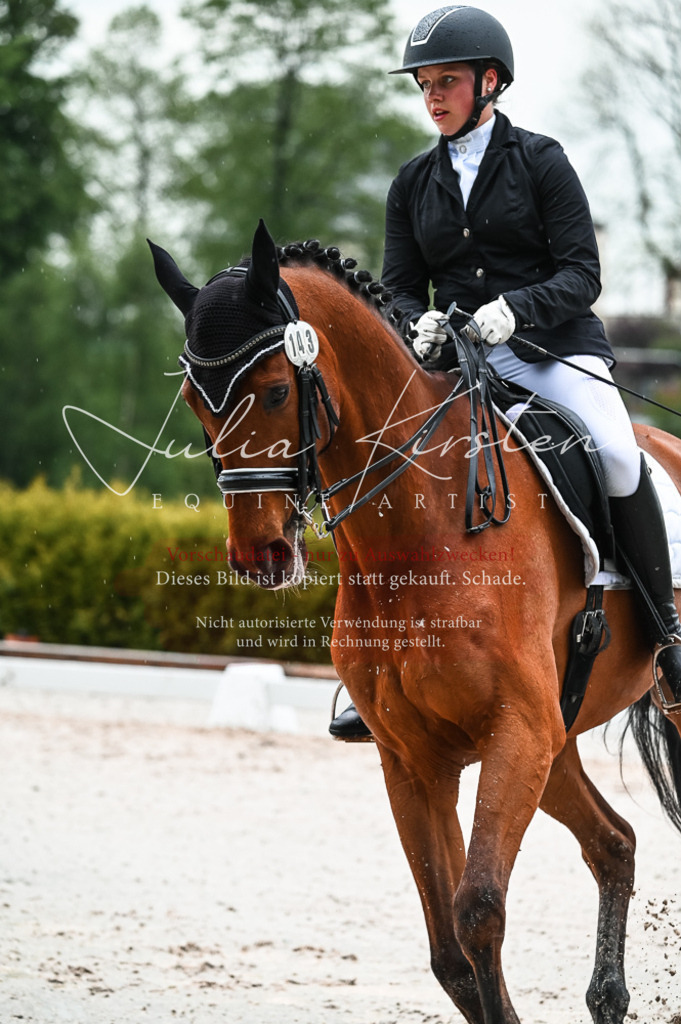 DSC_4408 | Pferde- und Turnierfotografie in Westsachsen. Pferdeportraits, Auftragszeichnungen und intuitive Kunst.