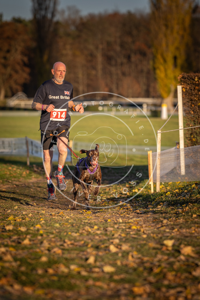 CaniXpix_DV3A4810 | Hundefotografie, Tierfotograf, Pfotenfotografie, Fotoshooting Hund, Hunde Portrait, Hundesport, Hundeportraits, Heideshooting, Hunde, Sportfotograf, Hundefotograf, Turnierhundsport, THS,  - Realisiert mit Pictrs.com