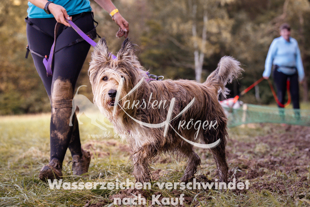 1223_ZZ94348 | kk-dogfotos