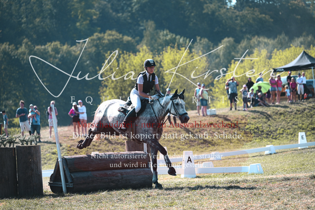 DSC_7837-2 | Pferde- und Turnierfotografie in Westsachsen. Pferdeportraits, Auftragszeichnungen und intuitive Kunst.