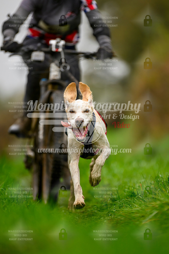 MompixPhotography_20TSB_E8_Bike-111 | PayLife