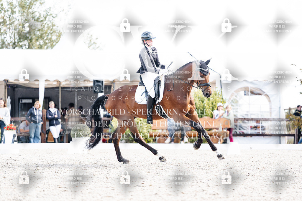 CK902387 | Turnierfotografie Pferdefotografie Trier Rheinland-Pfalz Pferdesport Reitsport Tierfotografie Sportfotografie Pferdevideo Pferdevideografie Equestrianvideography equestrianphotography  - Realisiert mit Pictrs.com