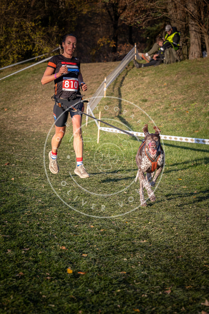 CaniXpix_0L8A0461 | Hundefotografie, Tierfotograf, Pfotenfotografie, Fotoshooting Hund, Hunde Portrait, Hundesport, Hundeportraits, Heideshooting, Hunde, Sportfotograf, Hundefotograf, Turnierhundsport, THS,  - Realisiert mit Pictrs.com
