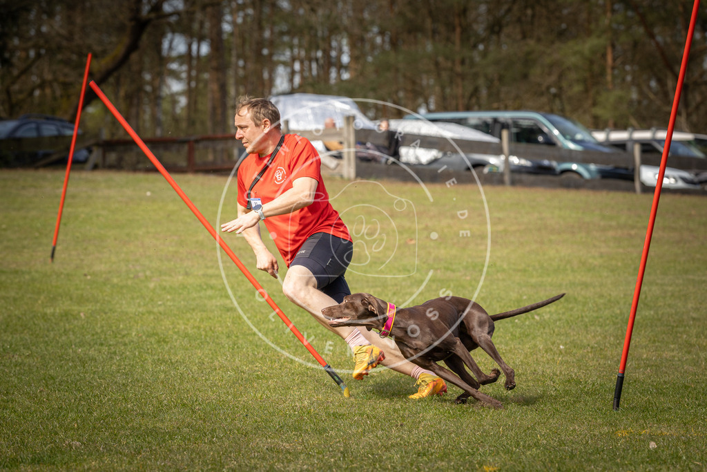 Pfotenfotografie_DV3A7093 | Hundefotografie, Tierfotograf, Pfotenfotografie, Fotoshooting Hund, Hunde Portrait, Hundesport, Hundeportraits, Heideshooting, Hunde, Sportfotograf, Hundefotograf, Turnierhundsport, THS,  - Realisiert mit Pictrs.com