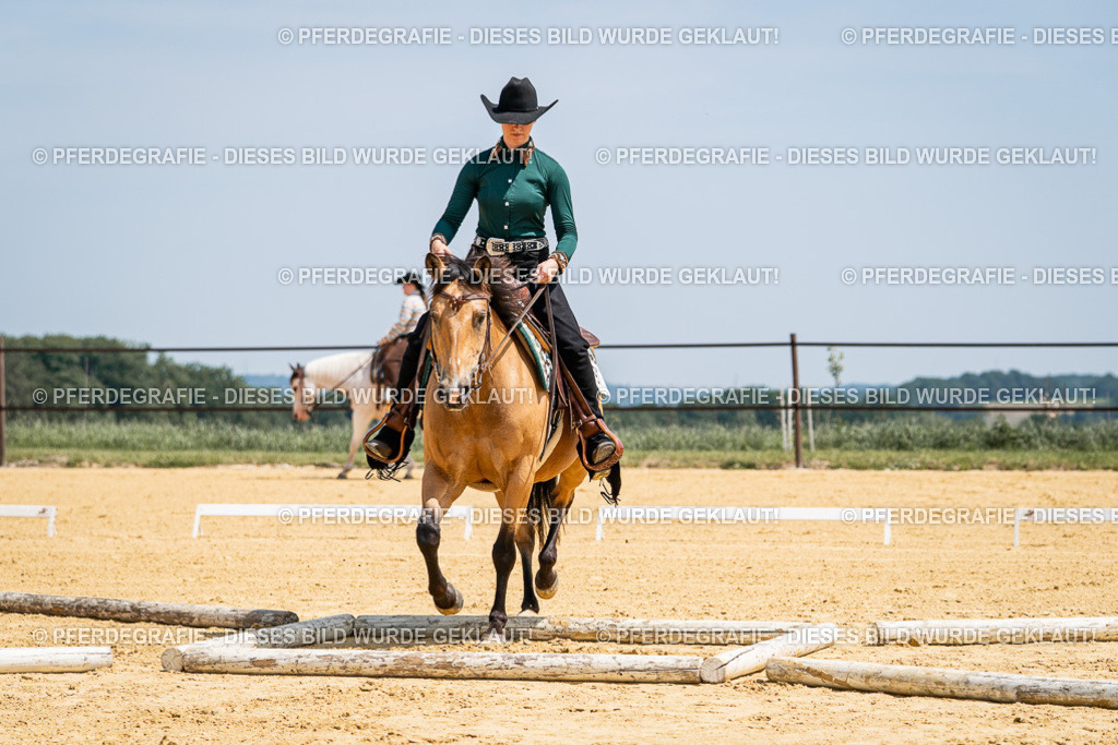 DSC01261 | Pferdegrafie