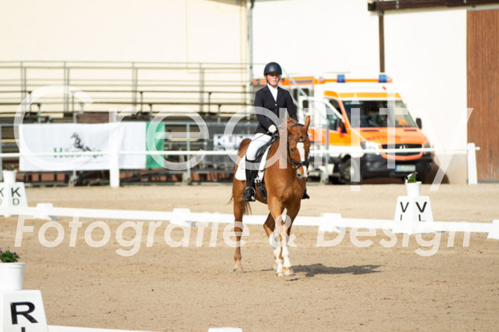 IMG_0732 | Creatify Fotografie