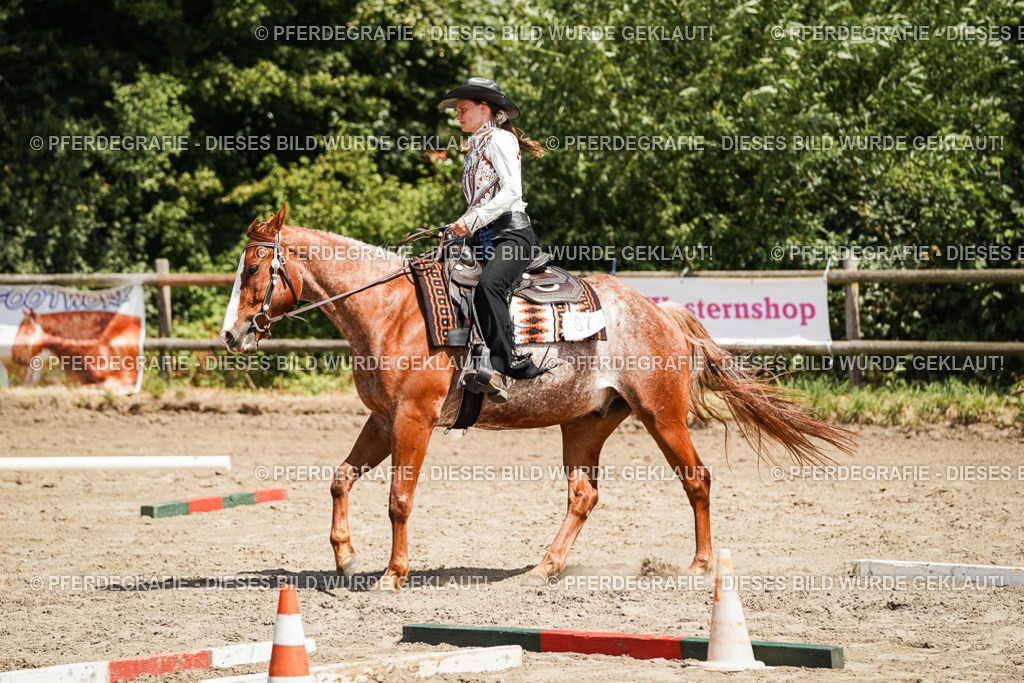 DSC07717 | Pferdegrafie