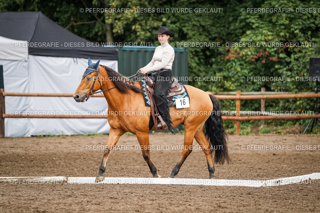 DSC04467 | Pferdegrafie