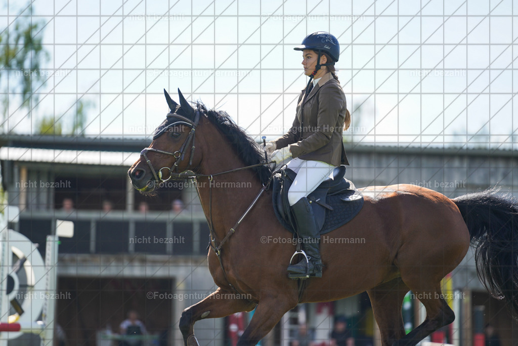 20230917-FAH09368 | Landsberg am Lech, 2023, Kaufbeuren, Kempten, Allgäu, Turnierfotografen Bayern, Fotoagentur Herrmann, Turnierbilder, Reitsport Fotos, Pferdefotograf, Augsburg, Bad Tölz, Dachau, Karlsfeld, Memmingen, Buchloe, Schwabmünchen