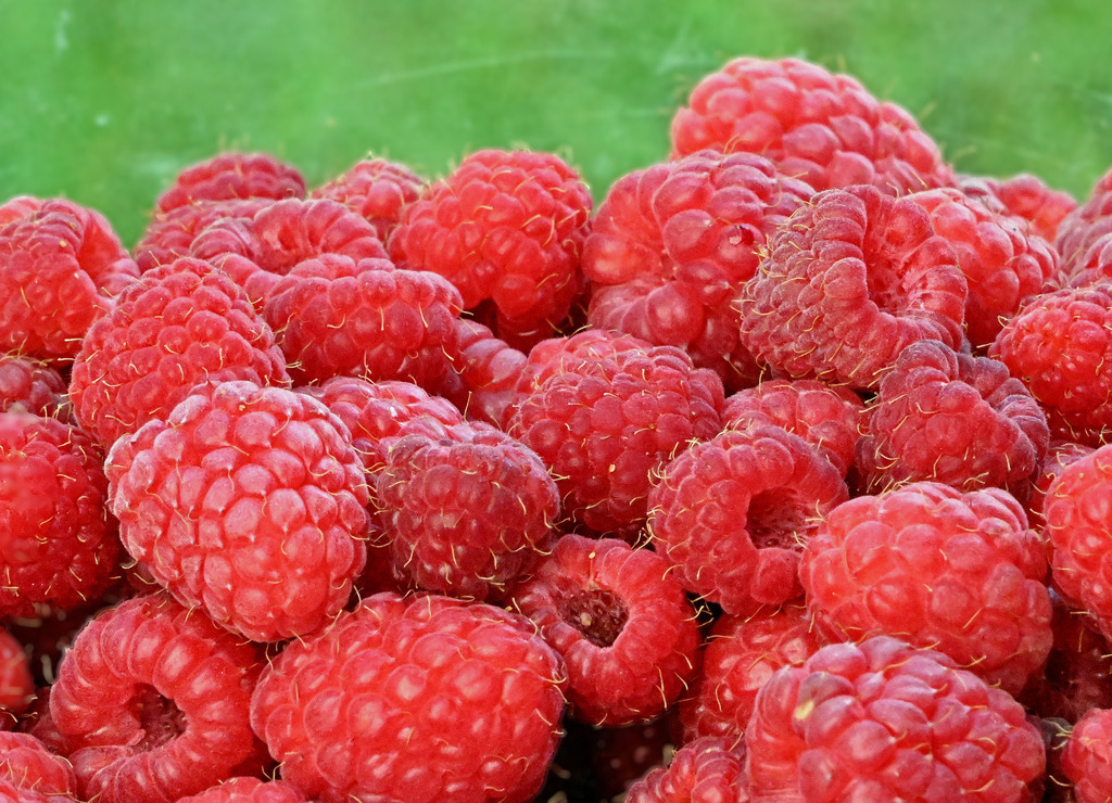 Himbeeren01-2 | lucisnaturbilder - Realisiert mit Pictrs.com