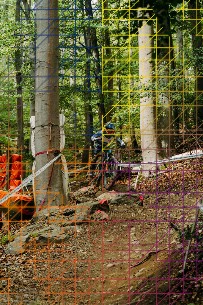 PAE-1364 | Einzigartige Fotokunst für dein Zuhause: Entdecke hochwertige Wandbilder, edle Prints und emotionale Motive von Wildlife, Natur und Landschaften - Realisiert mit Pictrs.com