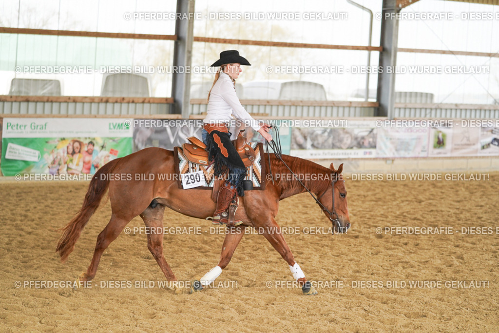 DSC06022 | Pferdegrafie