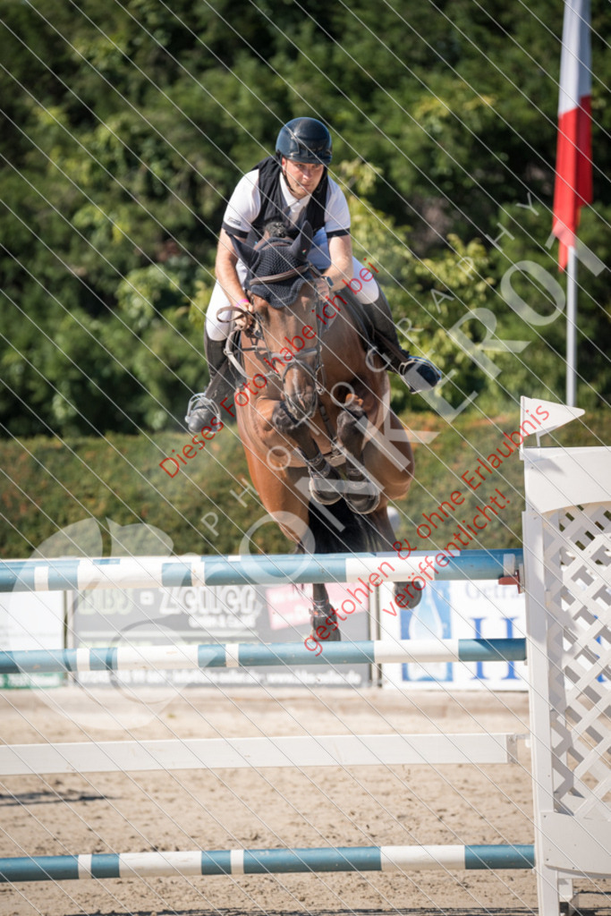 DSC_3350 | Sport-, Event- und Tierfotos in Profiqualität. Einfach auswählen, bestellen und herunterladen. Dein Moment – perfekt festgehalten.