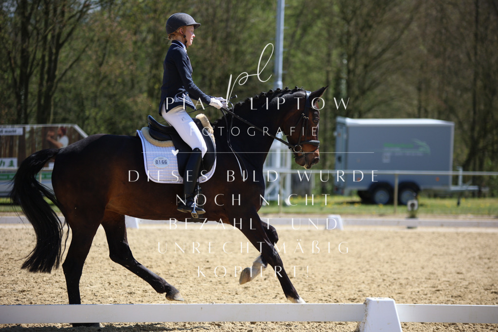 IMGT7613 | pl-fotografie