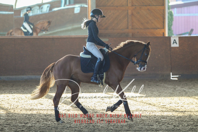 DKP42165 | Turniersportfotografie; Pferdefotografie; Dressurfotografie