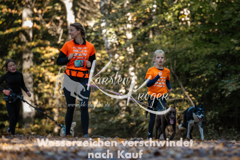 1022_ZZ99747 | kk-dogfotos