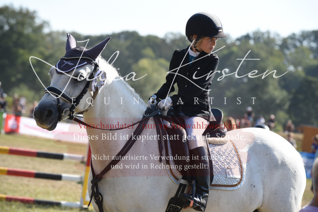 DSC_6149 | Pferde- und Turnierfotografie in Westsachsen. Pferdeportraits, Auftragszeichnungen und intuitive Kunst.