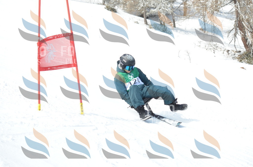 D9269 | holidayphoto