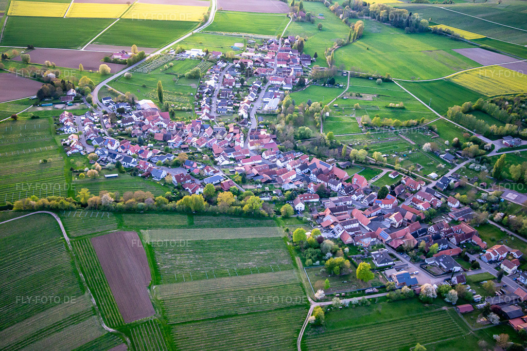 Luftbild: Ortsansicht von Osten in Oberhausen im Bundesland Rheinland-Pfalz in Deutschland. Foto: IMG_140264.jpg vom 11.04.2024 durch Werner Riehm/FLY-FOTO.de