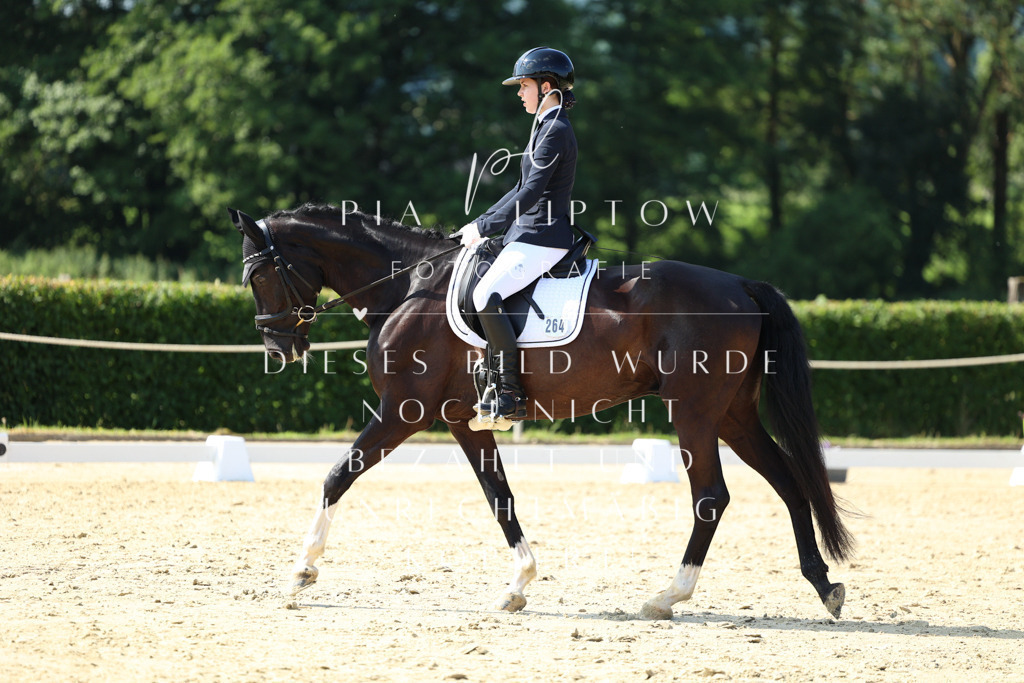 IMGM9800 | pl-fotografie