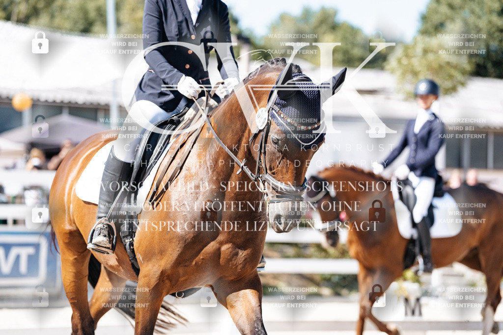 CK909288 | Turnierfotografie Pferdefotografie Trier Rheinland-Pfalz Pferdesport Reitsport Tierfotografie Sportfotografie Pferdevideo Pferdevideografie Equestrianvideography equestrianphotography  - Realisiert mit Pictrs.com