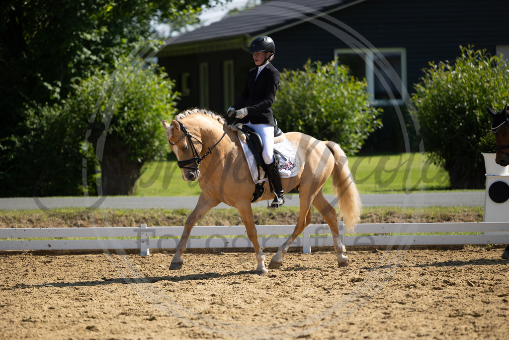 994A3173 | sabrinanicolaifotografie - Realisiert mit Pictrs.com