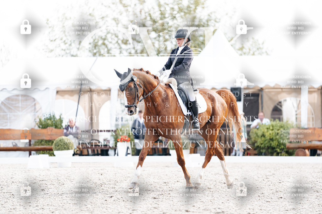 CK901341 | Turnierfotografie Pferdefotografie Trier Rheinland-Pfalz Pferdesport Reitsport Tierfotografie Sportfotografie Pferdevideo Pferdevideografie Equestrianvideography equestrianphotography  - Realisiert mit Pictrs.com